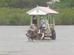 
      
      Charm of Ishigaki Island in Japan attracts many
      
      