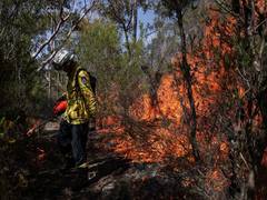 
      
      Threat from 'devastating' South Australian bushfire downgraded
      
      