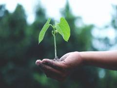 
      
      Researchers develop new chemical that gets reluctant seeds to...
      
      