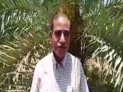 
      
      Scientists develop hybrid date-palm variety in Jodhpur
      
      