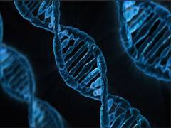 
      
      MRI, AI may detect early signs of tumour cell death after...
      
      