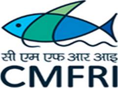 
      
      Indian oil sardine seemingly on revival path along Kerala...
      
      