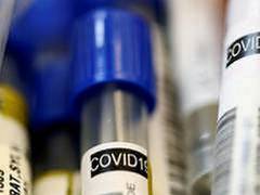 
      
      Brazil's COVID-19 death toll tops 225,000
      
      