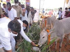 
      
      Karnataka minister bats for ban on beef exports, cow slaughter
      
      
