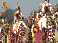 
      
      Camel Contingent of BSF takes out march on Republic Day
      
      
