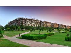 
      
      O.P. Jindal Global University offers new degree 
      
      