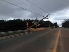 
      
      Canada: Over 200,000 people left without electricity in...
      
      