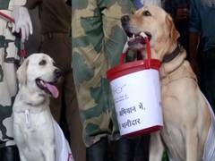 
      
      Jammu: BSF dog squad takes part in Swachhata Abhiyan at bus stand
      
      