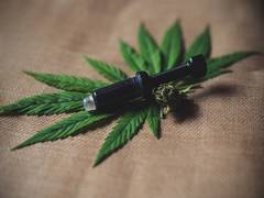 
      
      Study finds cannabidiol can reduce isolation-induced aggression
      
      