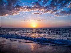 
      
      As oceans warm, marine cold spells are disappearing, reveals...
      
      