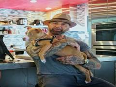 
      
      Dave Bautista adopts neglected puppy, pledges money to find...
      
      