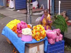 
      
      COVID-19: Kochi's flower vendors experience hardships during...
      
      