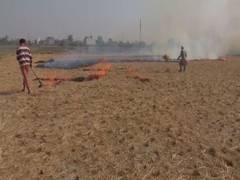 
      
      Punjab farmers demand Rs 7,000 per acre compensation to stop...
      
      