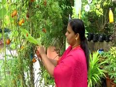 
      
      Using no pesticides, this lady grows almost 15 varieties of...
      
      