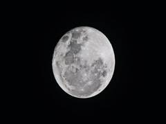 
      
      Lunar soil can generate oxygen and fuel, finds study
      
      