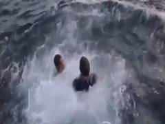 
      
      Kerala: Rahul Gandhi takes dip in Arabian Sea with fishermen
      
      