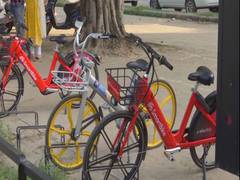 
      
      Chandigarh launches public bike-sharing project for its residents
      
      