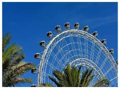 
      
      What makes Al Noor Island a picture-perfect destination
      
      