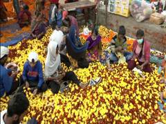 
      
      Delhi's Gazipur flower market witnesses huge rush on Diwali
      
      