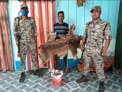 
      
      West Bengal: Sarugara forest officials arrest one with deer skin
      
      