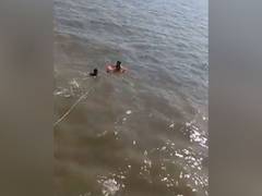 
      
      Mumbai Police rescues female tourist from drowning near...
      
      