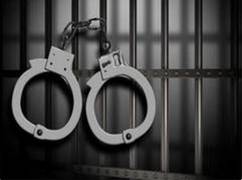 
      
      STF arrests man with 116 kg ganja in Odisha
      
      