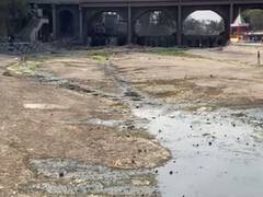 
      
      As summer approaches, Godavari river drying up
      
      