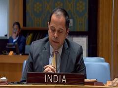 
      
      India at UNSC briefing opposes use of chemical weapons
      
      