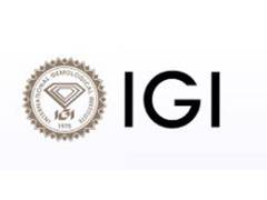 
      
      IGI celebrates International Women's Day with #TheSilentDiamonds
      
      