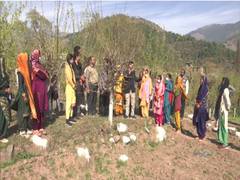 
      
      J-K: Five-day skill training programme in Sericulture farming...
      
      