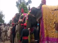
      
      Karnataka: Preparations begin for Mysuru Dasara festival 
      
      