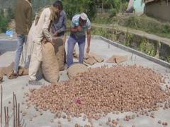 
      
      Changing agriculture trend in J-K's Rajouri: Farmers engage...
      
      