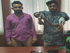 
      
      CCB BengaLuru arrested two persons for trying to sell two...
      
      