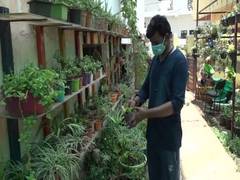 
      
      Extreme heat damages plants in Agra's nurseries 
      
      
