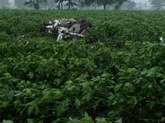 
      
      Telangana: Two trainee pilots killed after aircraft crashes...
      
      