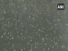 
      
      Aurangabad: Rain, hailstorm provides relief from stifling heat
      
      