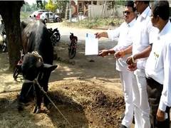 
      
      RPI-A leader calls Reddy 'sleeping buffalo' over Andhra CM's...
      
      