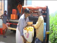 
      
      Kerala govt steps up efforts to help Passion fruit growers in...
      
      