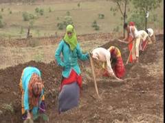 
      
      Karnataka govt provides employment to migrant returnees under...
      
      