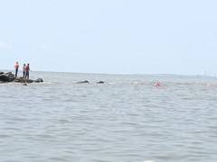 
      
      Girl rescued, boy drowns near Bandra bandstand
      
      