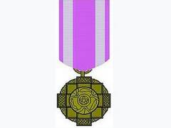
      
      Urdu humourist Mujtaba Hussain to return Padma Shri in...
      
      