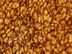 
      
      Never-before-seen images of Sun's turbulent surface released
      
      