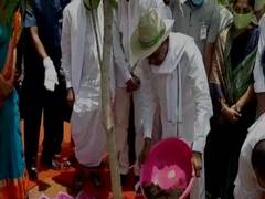 
      
      Telangana CM launches sixth phase of Haritha Haram programme
      
      