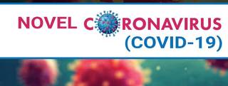 
      
      11 more COVID-19 cases in Karnataka, state count reaches 258
      
      
