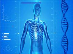 
      
      Study discovers distinct biological ages across individuals'...
      
      