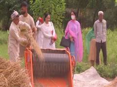 
      
      J-K: Paddy thresher improves efficiency in agriculture,...
      
      
