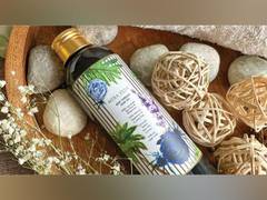 
      
      Skincare brand Myra Veda launches 'Milk Therapy Hair Oil' to...
      
      