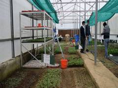 
      
      Polyhouse in Shopian provides quality seedlings,  helps...
      
      