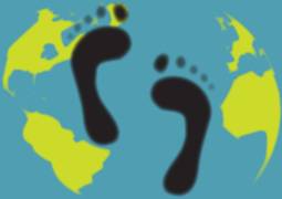 
      
      Change in digital service design could reduce carbon...
      
      
