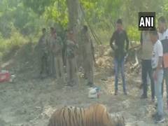 
      
      Tiger carcass found in Jim Corbett National Park
      
      